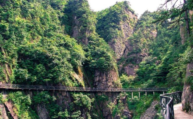 中国美术馆志愿者半年多导赏千余场 服务观众近6万人次